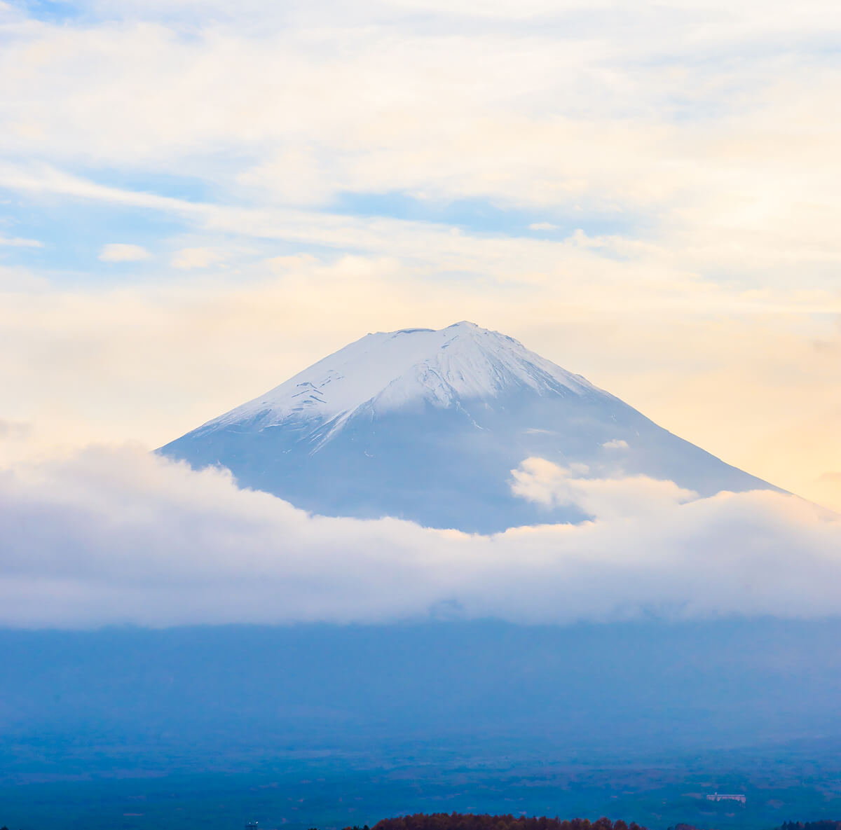 Fuji Mountain